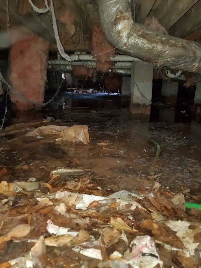 Crawl space flood assessment for Leak Detection & Repair in Marlow Heights