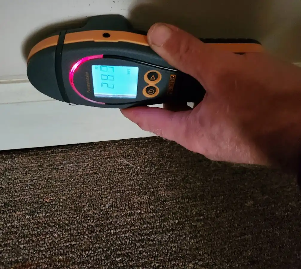 Moisture detection at baseboard during Sewage Cleanup & Sanitation in Marlow Heights